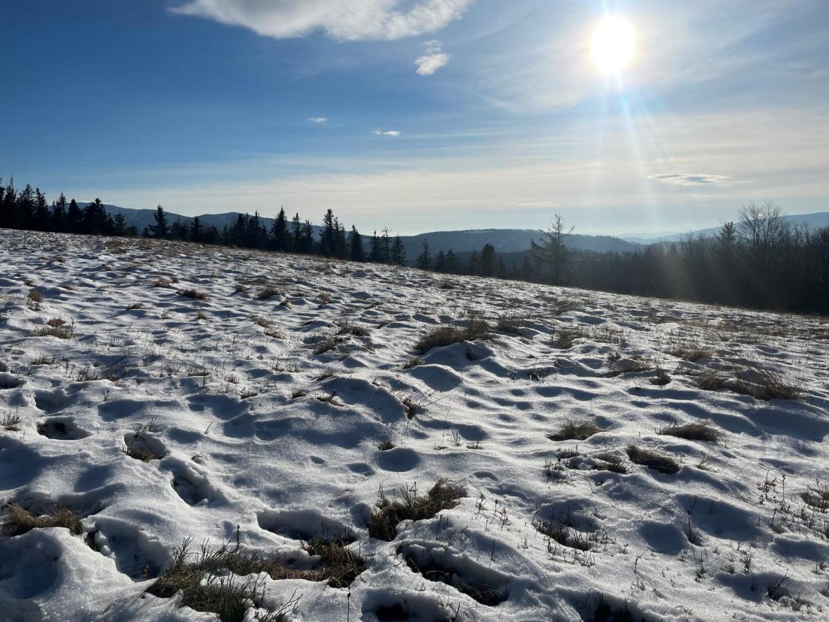 Sielsko Anielsko Villa Stryszawa Exteriör bild