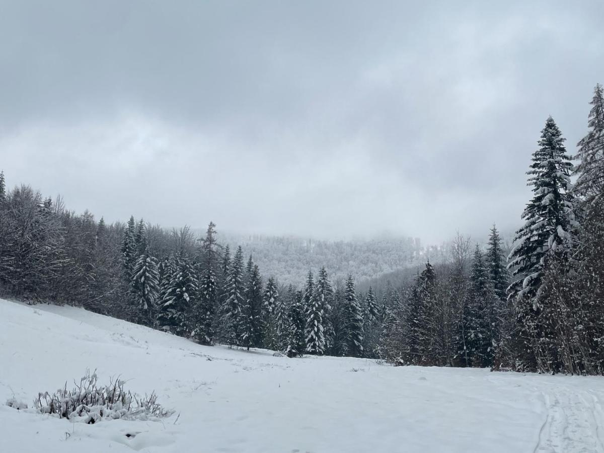 Sielsko Anielsko Villa Stryszawa Exteriör bild